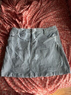 Striped Blue and White Mini Skirt
